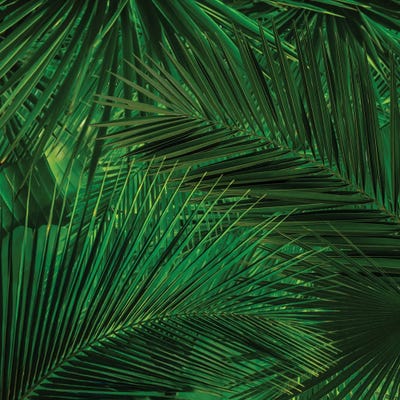 Background Of Palm And Banana Leaves by Ievgeniia Bidiuk framed wall art