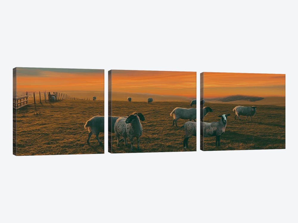 Pasture Of A Sheep Farm by Ievgeniia Bidiuk 3-piece Art Print