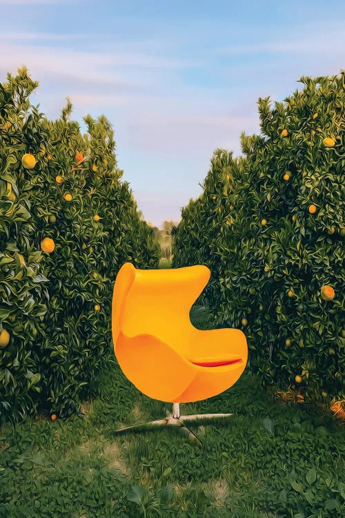 An Orange Chair In An Orange Orchard