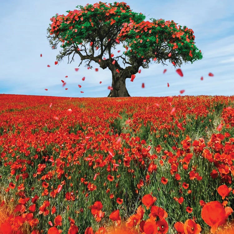 Flying Flower Petals Over A Poppy Field