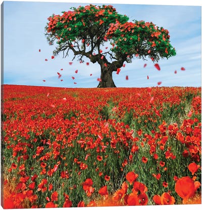 Flying Flower Petals Over A Poppy Field Canvas Art Print - Ievgeniia Bidiuk
