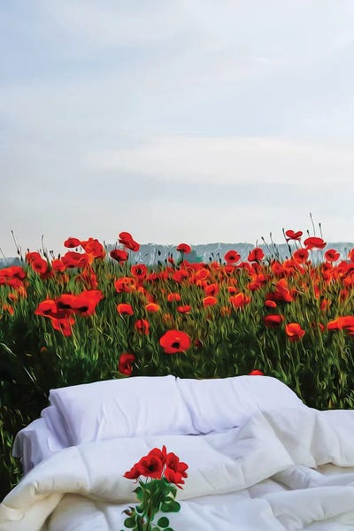 Ievgeniia Bidiuk: A Bed In A Poppy Field by Ievgeniia Bidiuk