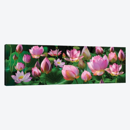 Horizontal Background Of Lotus Blossoms Canvas Print #IVG639} by Ievgeniia Bidiuk Canvas Art Print