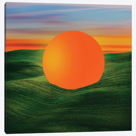 An Orange Ball On A Field Of Green Grass Canvas Print #IVG641} by Ievgeniia Bidiuk Canvas Art