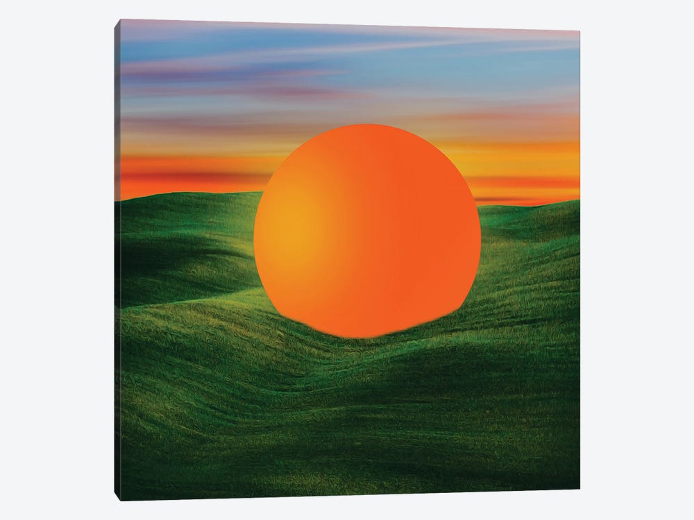 An Orange Ball On A Field Of Green Grass by Ievgeniia Bidiuk 1-piece Canvas Print