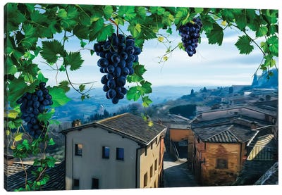 Grapevine Over The Old Town Canvas Art Print - Grape Art