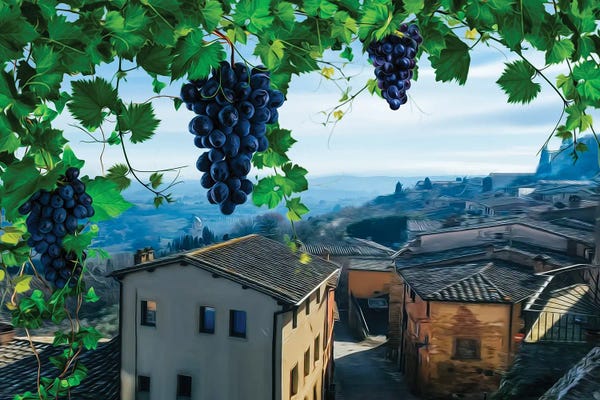 Grapes: Grapevine Over The Old Town by Ievgeniia Bidiuk