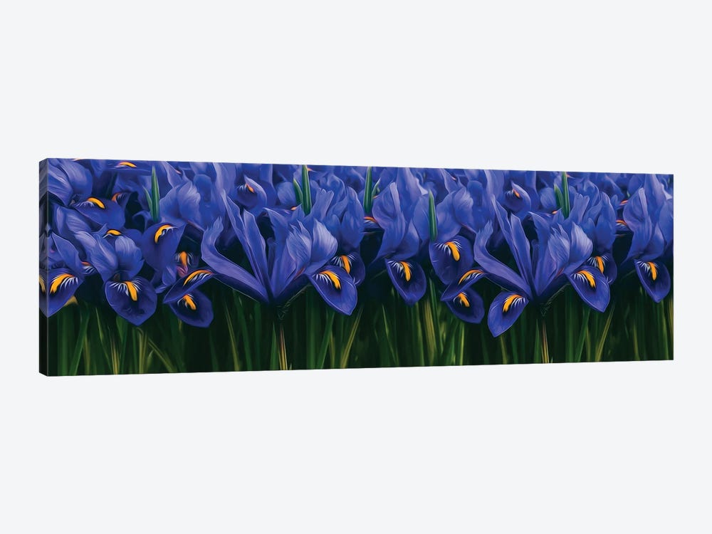 Background Of Blue Irises by Ievgeniia Bidiuk 1-piece Canvas Art Print