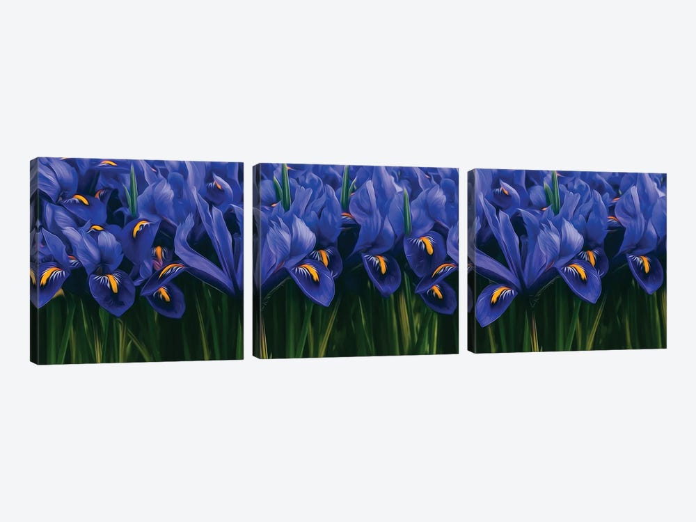 Background Of Blue Irises by Ievgeniia Bidiuk 3-piece Art Print