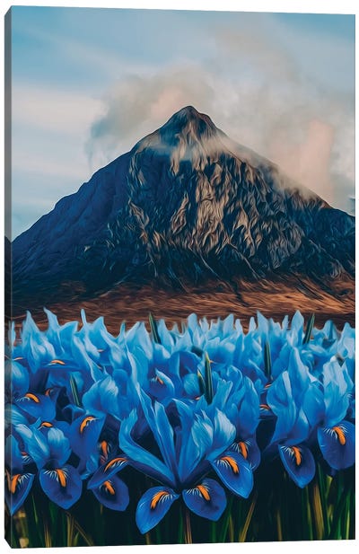Blooming Irises At The Volcano Canvas Art Print - Landscapes in Bloom