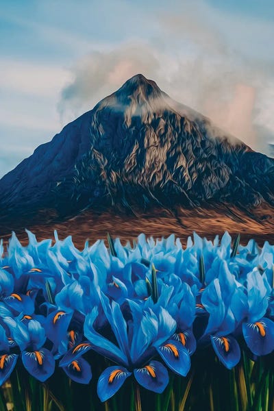 Ievgeniia Bidiuk: Blooming Irises At The Volcano by Ievgeniia Bidiuk