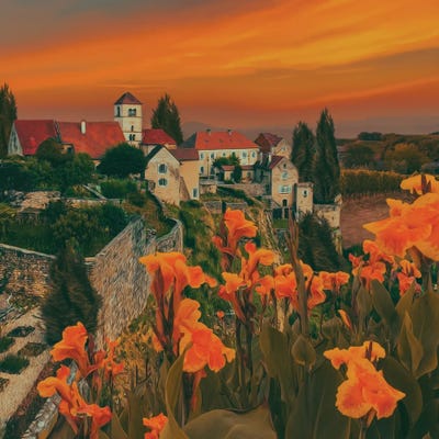 Orange Irises In The Background Of The Old City by Ievgeniia Bidiuk framed wall art