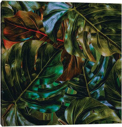 An Assortment Of Monster Leaves Canvas Art Print - Greenery Dècor