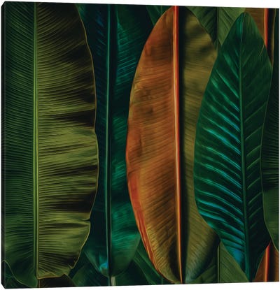 Banana Leaves In Different Colors Canvas Art Print - Pantone Greenery 2017