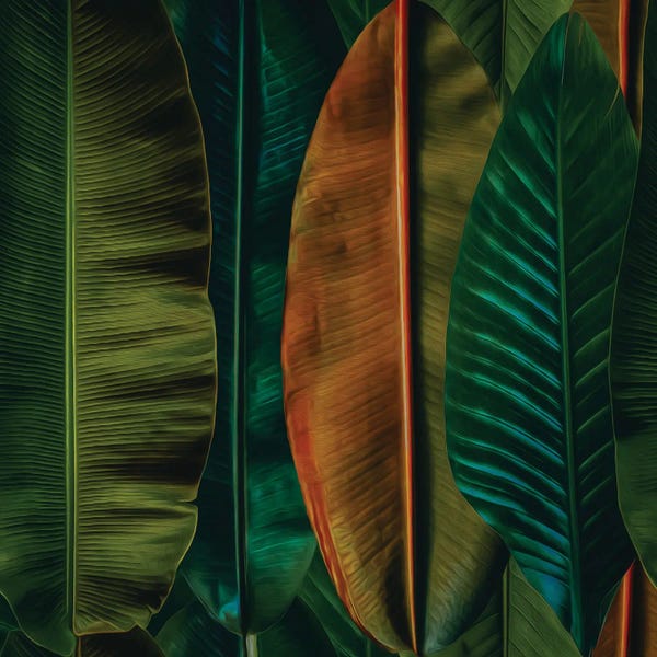 Ievgeniia Bidiuk: Banana Leaves In Different Colors by Ievgeniia Bidiuk