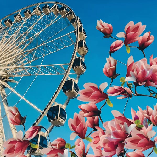 Ievgeniia Bidiuk: Magnolia in Bloom Against The Backdrop Of The Ferris Wheel by Ievgeniia Bidiuk