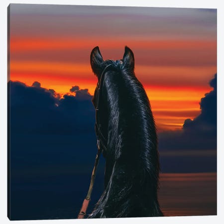 Arabian Horse On The Background Of The Sea Sunset Canvas Print #IVG678} by Ievgeniia Bidiuk Art Print