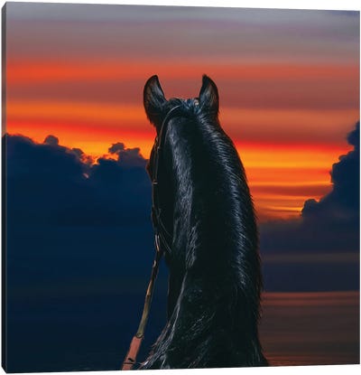 Arabian Horse On The Background Of The Sea Sunset Canvas Art Print - Horseback Art