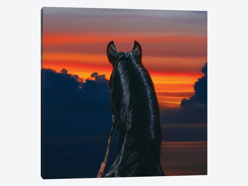 Arabian Horse On The Background Of The Sea Sunset by Ievgeniia Bidiuk 1-piece Canvas Print