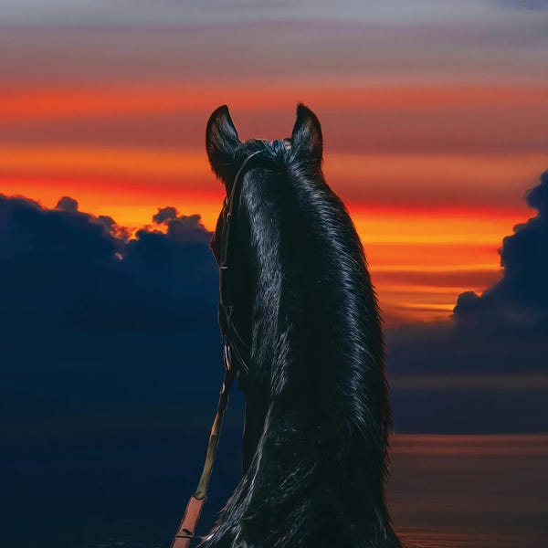 Ievgeniia Bidiuk: Arabian Horse On The Background Of The Sea Sunset by Ievgeniia Bidiuk