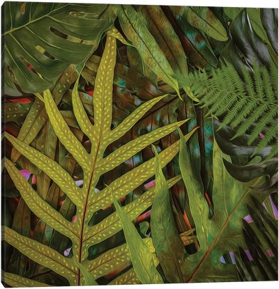 A Tropical Background Of Palm Leaves And Ferns Canvas Art Print - Ievgeniia Bidiuk