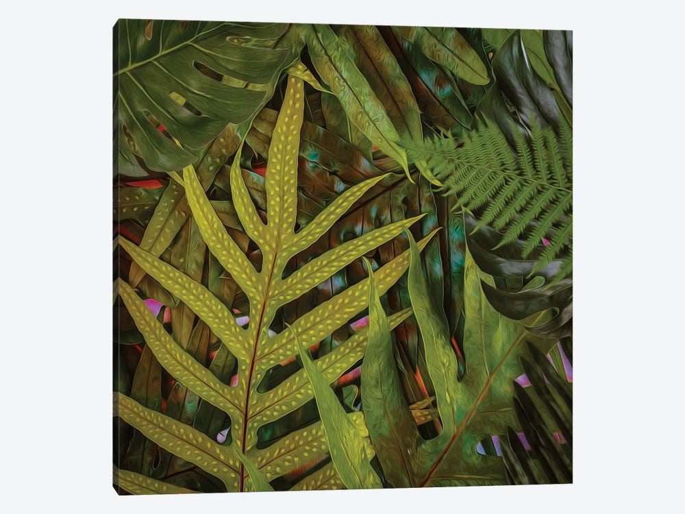 A Tropical Background Of Palm Leaves And Ferns by Ievgeniia Bidiuk 1-piece Canvas Artwork
