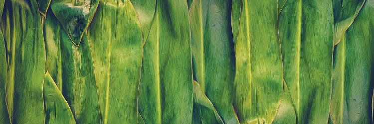 Banana Leaf Background In A Green-Yellow Hue