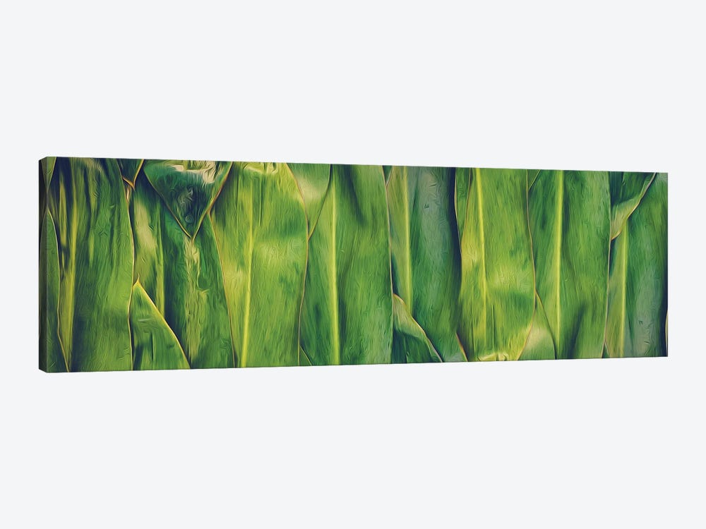 Banana Leaf Background In A Green-Yellow Hue by Ievgeniia Bidiuk 1-piece Canvas Wall Art