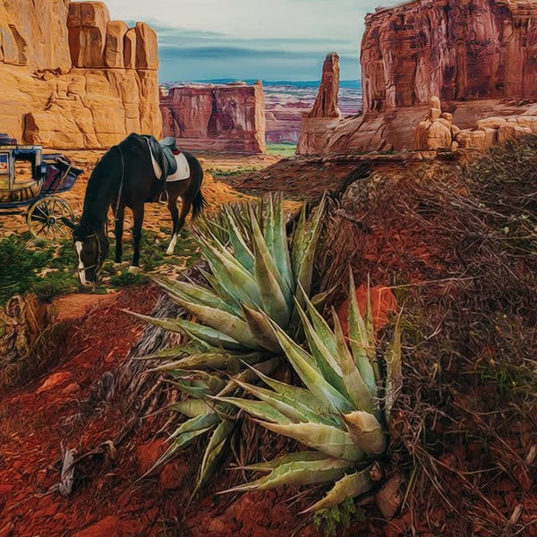 Ievgeniia Bidiuk: A Black Horse In The Texas Desert by Ievgeniia Bidiuk
