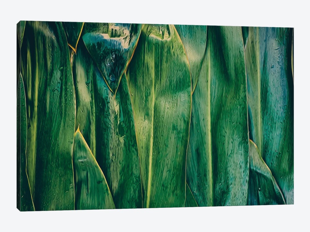 Corn Leaves by Ievgeniia Bidiuk 1-piece Canvas Wall Art
