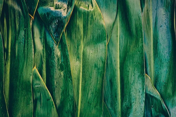 Ievgeniia Bidiuk: Corn Leaves by Ievgeniia Bidiuk