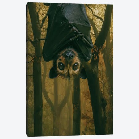 A Bat In A Dark Forest Canvas Print #IVG696} by Ievgeniia Bidiuk Canvas Artwork