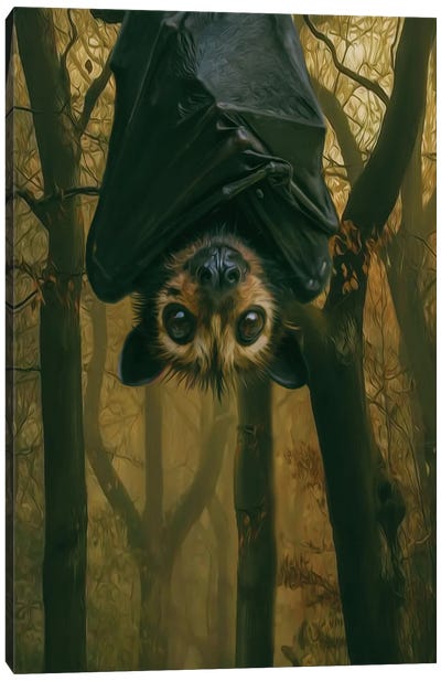 A Bat In A Dark Forest Canvas Art Print - Bat Art