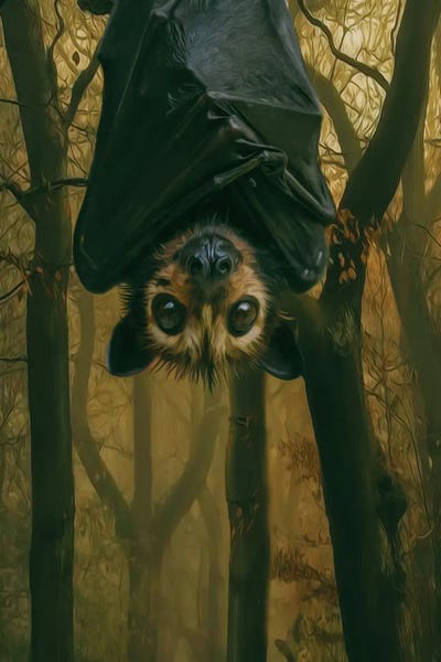 Ievgeniia Bidiuk: A Bat In A Dark Forest by Ievgeniia Bidiuk