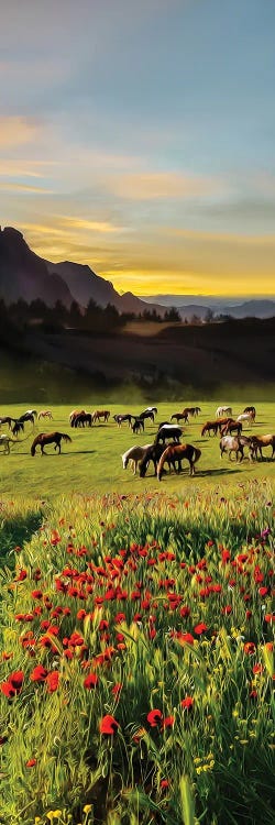 Mustangs On The Prairies Of North America