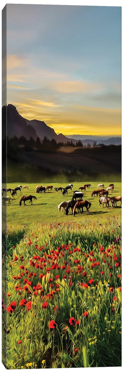 Mustangs On The Prairies Of North America Canvas Art Print - Ievgeniia Bidiuk