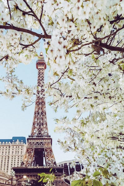 Ievgeniia Bidiuk: Blooming Cherry Of Paris by Ievgeniia Bidiuk