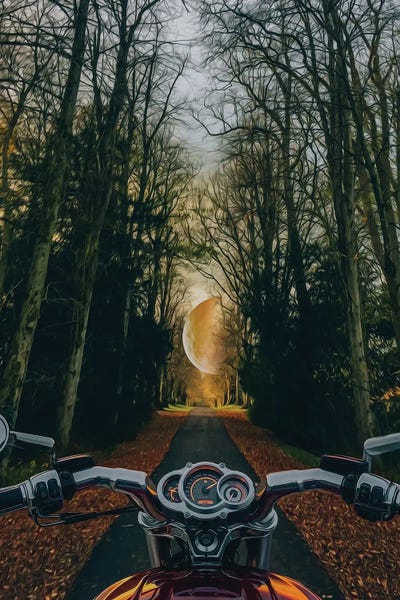 Ievgeniia Bidiuk: Motorcycle On The Road In The City Park by Ievgeniia Bidiuk