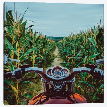 A Motorcycle On The Road In A Cornfield Canvas Print #IVG709} by Ievgeniia Bidiuk Art Print