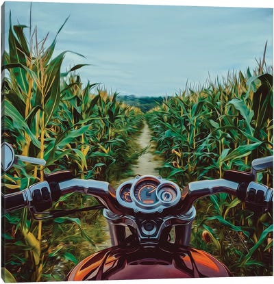 A Motorcycle On The Road In A Cornfield Canvas Art Print - Ievgeniia Bidiuk