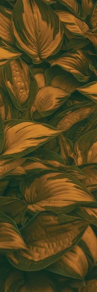 Ievgeniia Bidiuk: Leaves In A Warm Shade by Ievgeniia Bidiuk