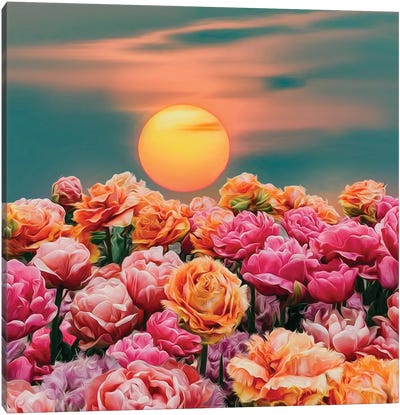 Morning Sunshine And Park Roses Canvas Art Print - Ievgeniia Bidiuk