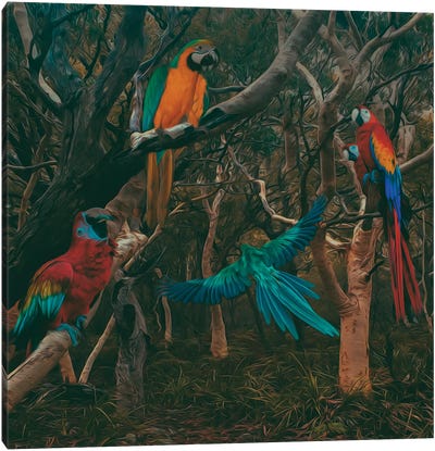 Park With Parrots Canvas Art Print - Jungles