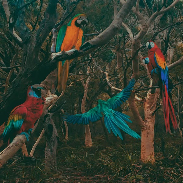 Ievgeniia Bidiuk: Park With Parrots by Ievgeniia Bidiuk