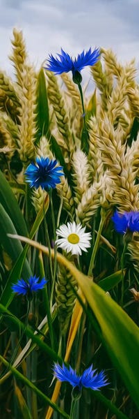 Ievgeniia Bidiuk: Spikes Of Wheat, Daisies And Cornflowers by Ievgeniia Bidiuk