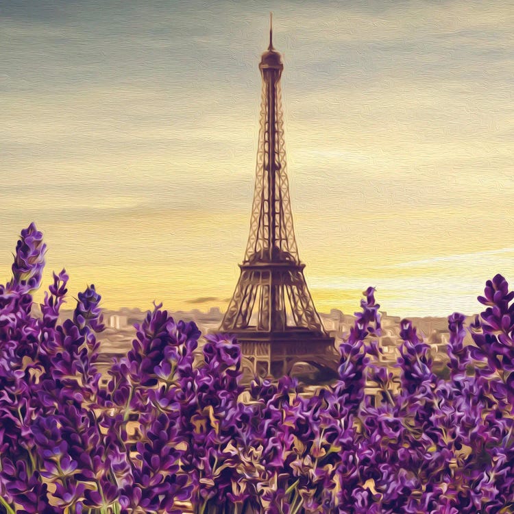 Blooming Lavender Against Of Paris