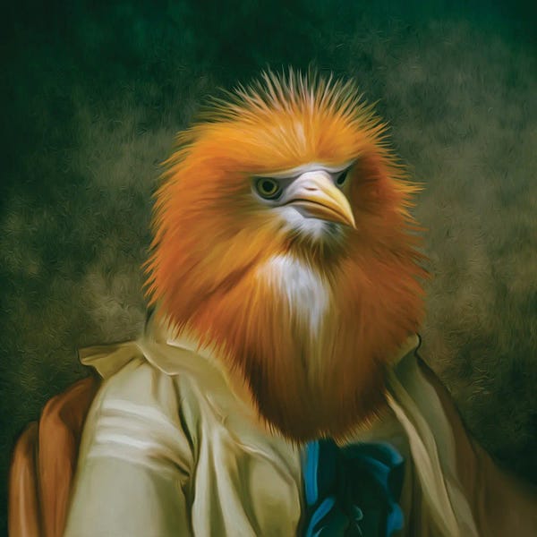 Egrets: Portrait Cattle Egret by Ievgeniia Bidiuk