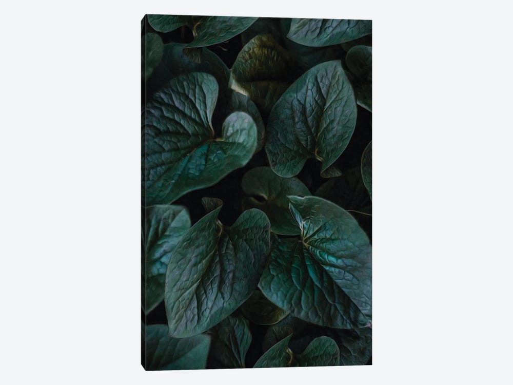 A Background Of Wild Violet Leaves by Ievgeniia Bidiuk 1-piece Canvas Print