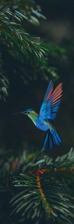 Hummingbirds In Spruce Branches