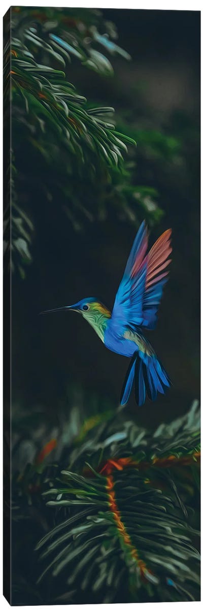 Hummingbirds In Spruce Branches Canvas Art Print - Ievgeniia Bidiuk